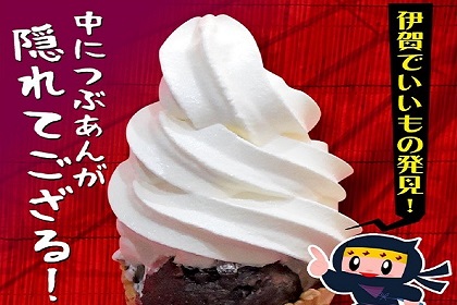 ▲忍者ソフト 各400円
