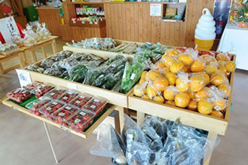 ■農家直送の新鮮野菜コーナー